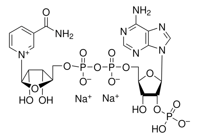?-Nicotinamide adenine dinucleotide phosphate disodium
