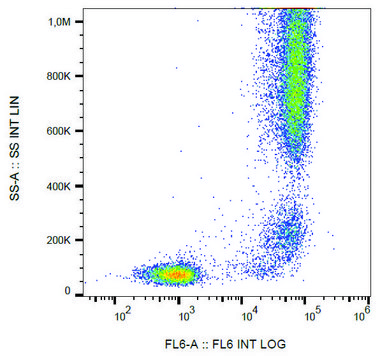 Monoclonal Anti-CD13/Aminopeptidase N antibody produced