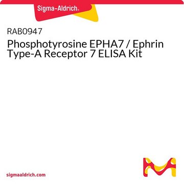 Phosphotyrosine EPHA7 / Ephrin Type-A