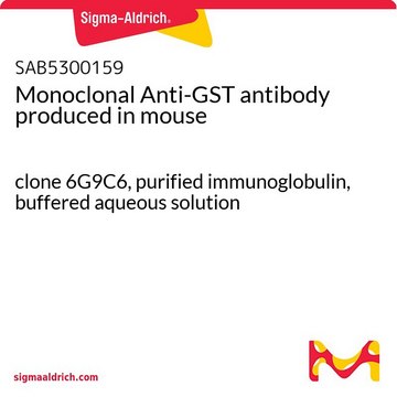 Monoclonal Anti-GST antibody produced in