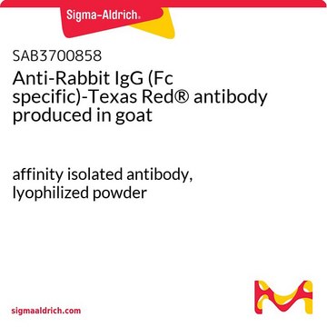 Anti-Rabbit IgG (Fc specific)-Texas Red®