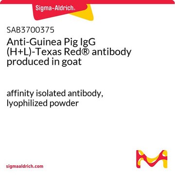 Anti-Guinea Pig IgG (H+L)-Texas Red®