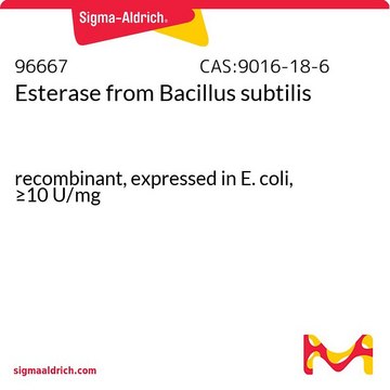 Esterase from Bacillus subtilis