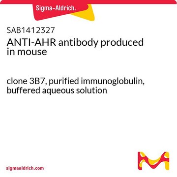 ANTI-AHR antibody produced in mouse