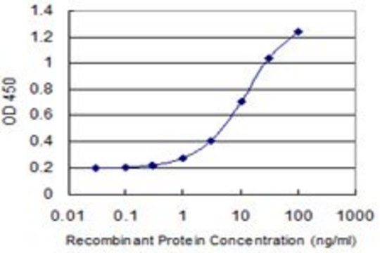 Monoclonal Anti-DUSP16, (C-terminal) antibody produced