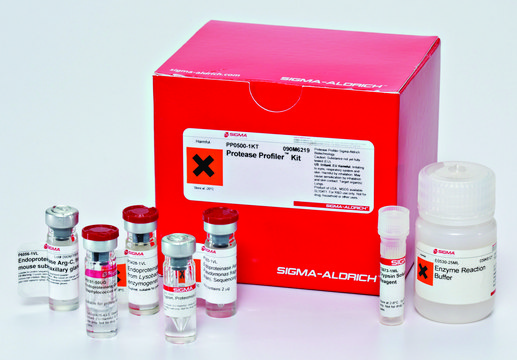 Protease Profiler™ Kit