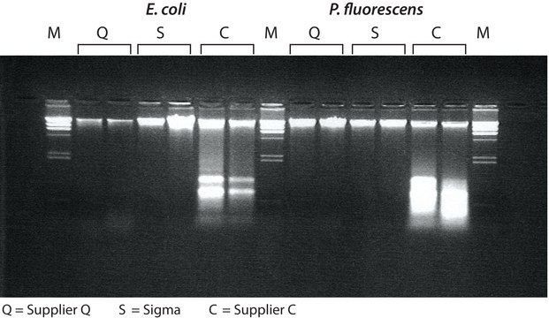 GenElute™ Bacterial Genomic DNA Kits