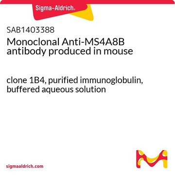 Monoclonal Anti-MS4A8B antibody produced in