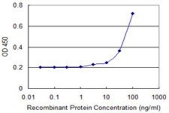 Monoclonal Anti-WSB1 antibody produced in
