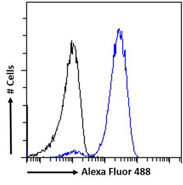 Anti-CIRBP antibody produced in goat