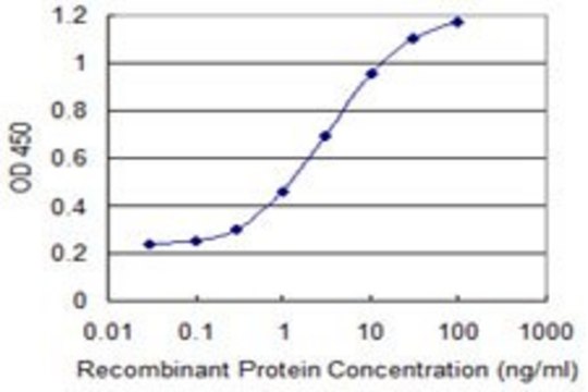 Monoclonal Anti-RASGRP3 antibody produced in