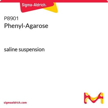 Phenyl-Agarose
