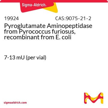 Pyroglutamate Aminopeptidase from Pyrococcus furiosus,