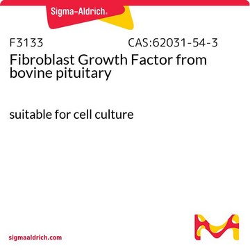 Fibroblast Growth Factor from bovine