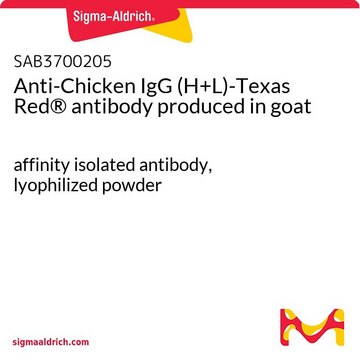 Anti-Chicken IgG (H+L)-Texas Red® antibody