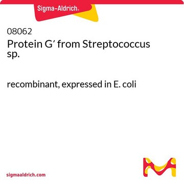 Protein G? from Streptococcus sp.