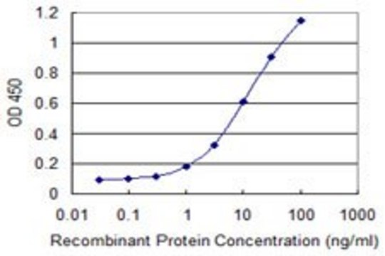 Monoclonal Anti-NOS1AP antibody produced in