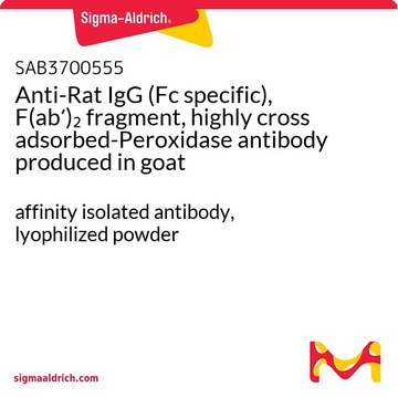 Anti-Rat IgG (Fc specific), F(ab?)?