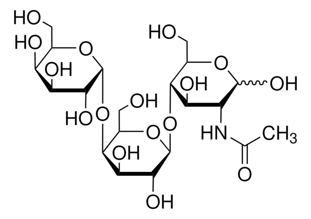 P1 Antigen