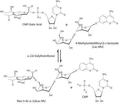 ?-2,6-Sialyltransferase from Photobacterium damsela