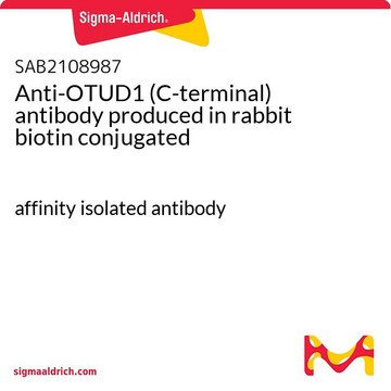 Anti-OTUD1 (C-terminal) antibody produced in