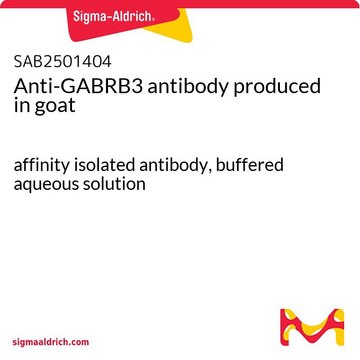 Anti-GABRB3 antibody produced in goat