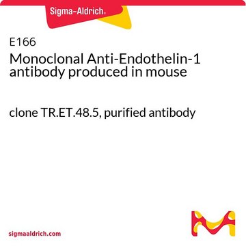 Monoclonal Anti-Endothelin-1 antibody produced in