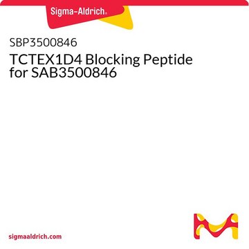 TCTEX1D4 Blocking Peptide for SAB3500846
