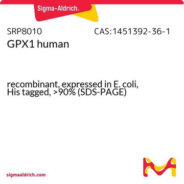 GPX1 human
