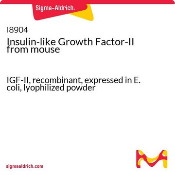 Insulin-like Growth Factor-II from mouse