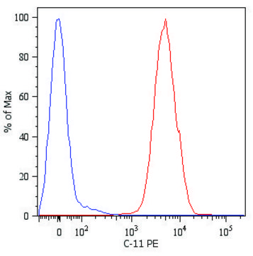 Monoclonal Anti-Cytokeratin (Pan-reactive)-PE antibody produced