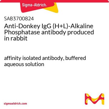 Anti-Donkey IgG (H+L)-Alkaline Phosphatase antibody
