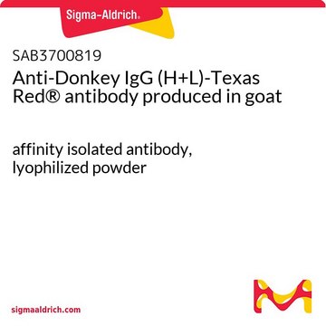 Anti-Donkey IgG (H+L)-Texas Red® antibody