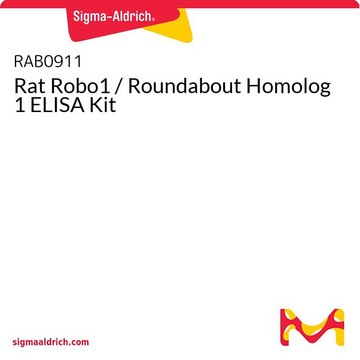 Rat Robo1 / Roundabout Homolog