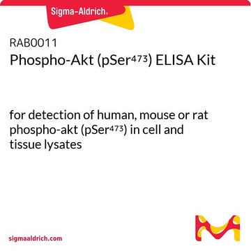 Phospho-Akt (pSer??³) ELISA Kit
