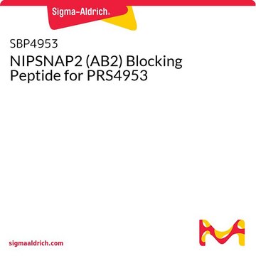 NIPSNAP2 (AB2) Blocking Peptide for