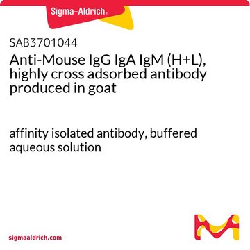 Anti-Mouse IgG IgA IgM (H+L),