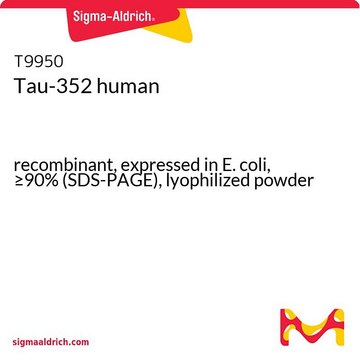 Tau-352 human
