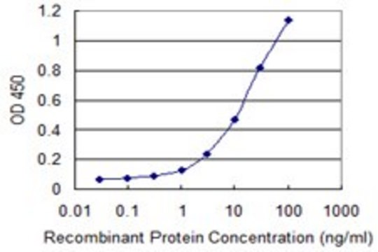 Monoclonal Anti-EIF3S3 antibody produced in