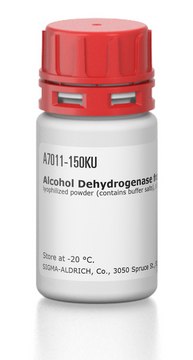 Alcohol Dehydrogenase from Saccharomyces cerevisiae