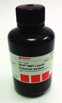 BCIP®/NBT Liquid Substrate System