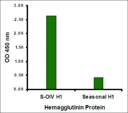 Anti-Swine H1N1 Hemagglutinin antibody produced