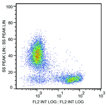 Monoclonal Anti-CD2 antibody produced in