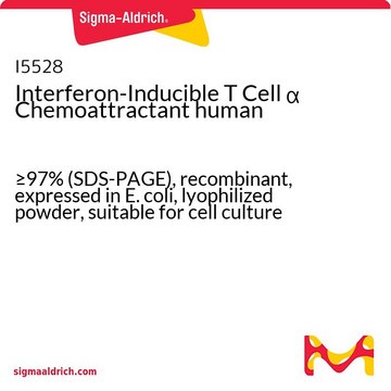 Interferon-Inducible T Cell ? Chemoattractant