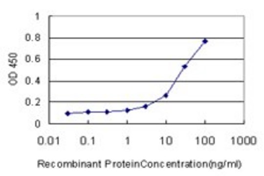 Monoclonal Anti-MACF1 antibody produced in