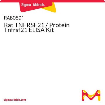 Rat TNFRSF21 / Protein Tnfrsf21