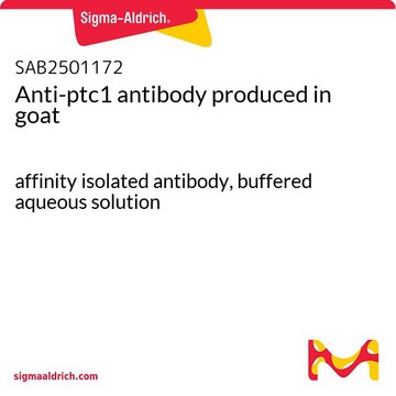 Anti-ptc1 antibody produced in goat