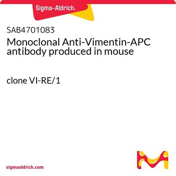 Monoclonal Anti-Vimentin-APC antibody produced in