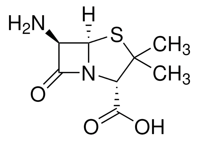 AMOXICILLIN RELATED COMPOUND A, UNITED