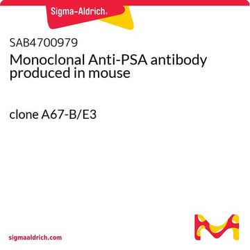 Monoclonal Anti-PSA antibody produced in